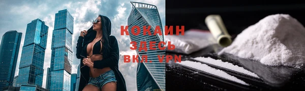 ГАЛЛЮЦИНОГЕННЫЕ ГРИБЫ Баксан