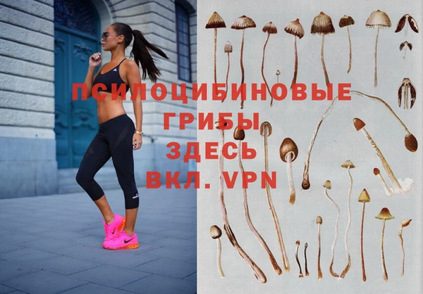 герыч Балахна